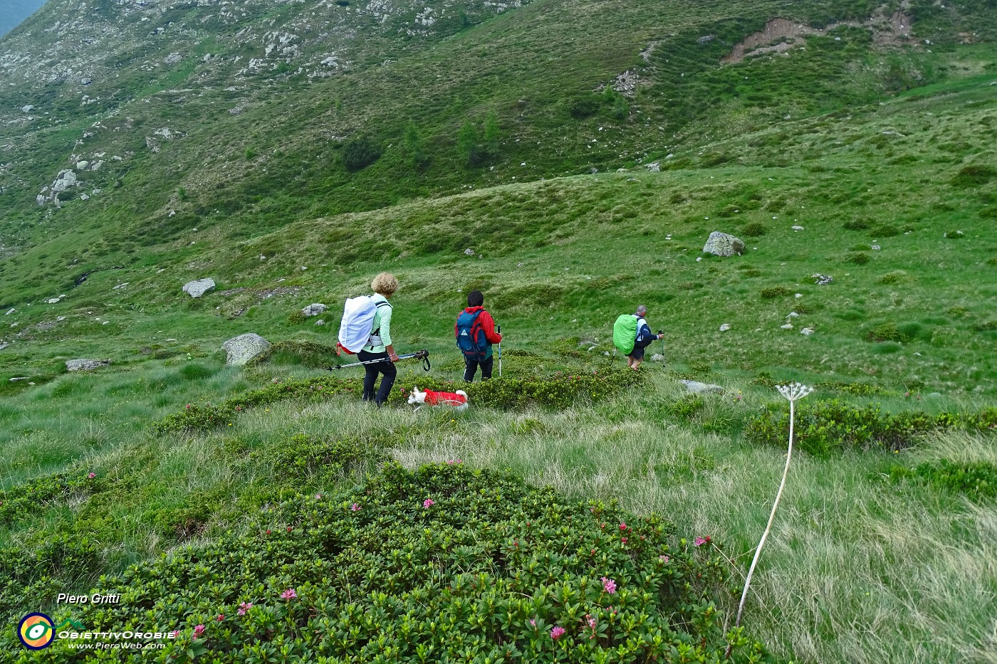 84 Scendiamo in direttissima evitando il lungo traverso ai Laghi delle Valli.JPG -                                